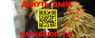 прущие грибы Гатчина