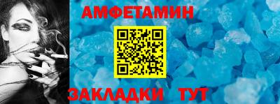 прущие грибы Гатчина