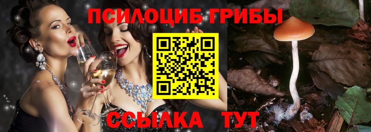 Псилоцибиновые грибы мухоморы Тимашёвск